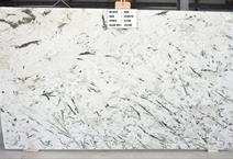 DELICATUS WHITE